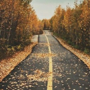 Meet your Posher, Ann